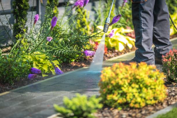 Best Fence Cleaning  in Mango, FL