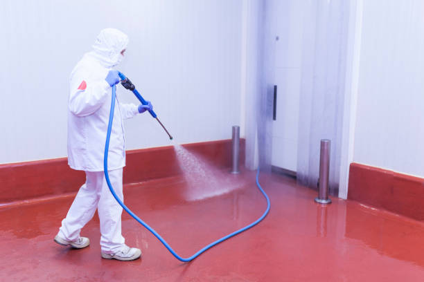 Best Rust Removal  in Mango, FL