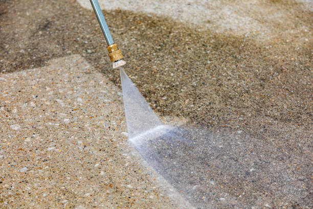 Best Residential Exterior Washing  in Mango, FL